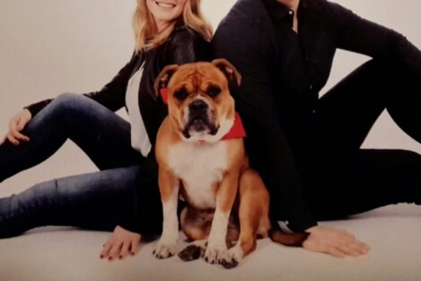 Continental Bulldogs Seeblickbulls Bild vom 07.12.2016 Continental Bulldogs Seeblickbulls Bild vom 07.12.2016