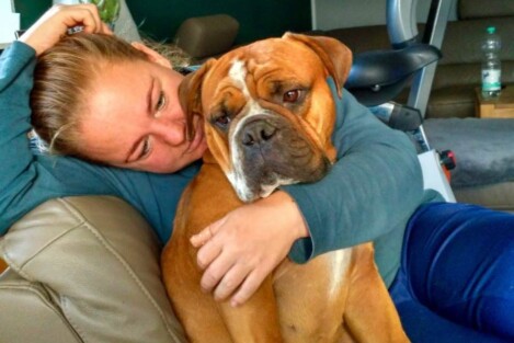 Continental Bulldogs Seeblickbulls Bild vom 12.12.2016 Continental Bulldogs Seeblickbulls Bild vom 12.12.2016