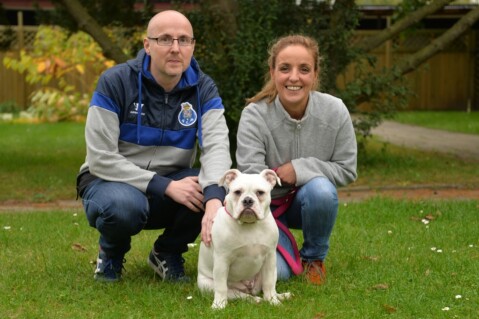 Continental Bulldog Seeblickbulls 171014 Continental Bulldog Seeblickbulls 171014
