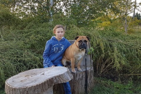 Continental Bulldog Seeblickbulls 171024 Continental Bulldog Seeblickbulls 171024
