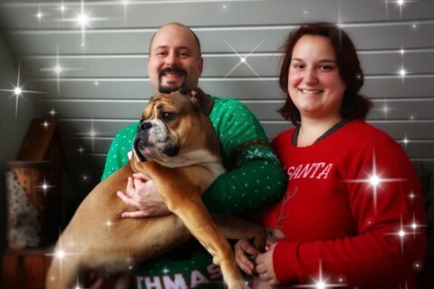 Continental Bulldog Seeblickbulls 211227 Continental Bulldog Seeblickbulls 211227